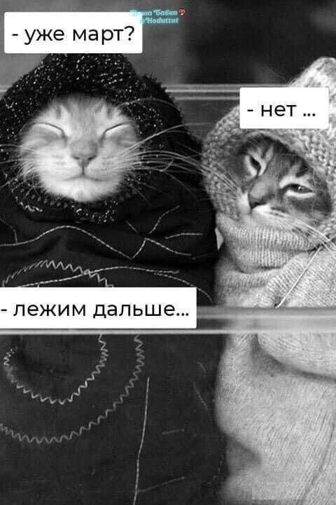 Тлидцать тли от 26 февлаля