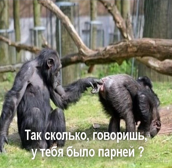 Юмор в картинках и без 26.03.2024