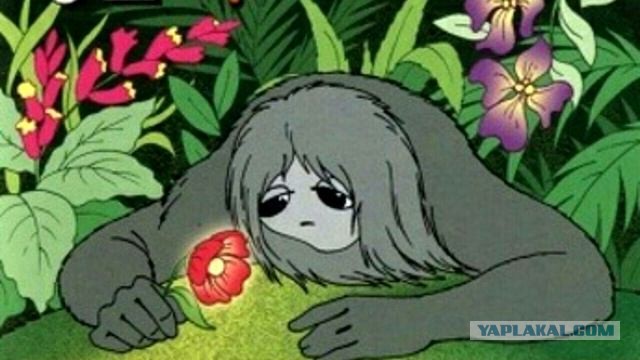 Стали известны личности двоих погибших во время перестрелки у офиса Wildberries