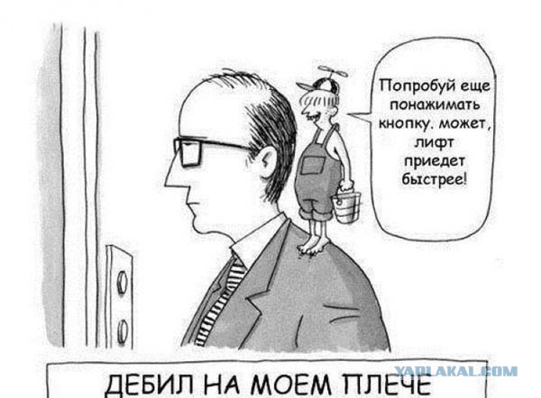Немного забавных картинок от 01.12.2024