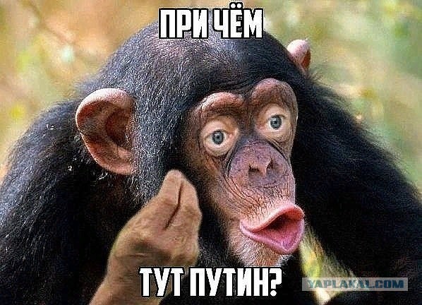 Новости сверхдержавы в эфире у Соловьёва
