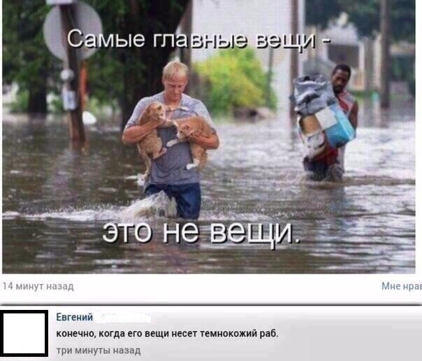 Праздничная дичь. Ударная доза