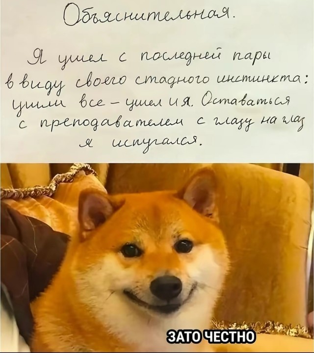 Так себе картинки 13.08.25