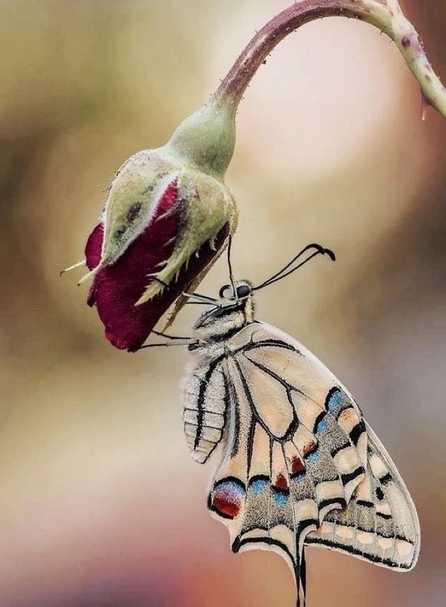 Картинки субботнего утра