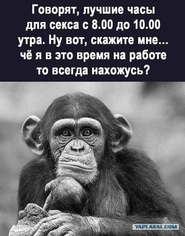 Картинки маленькой пятницы