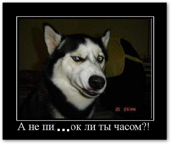 Трамп и задняя передача