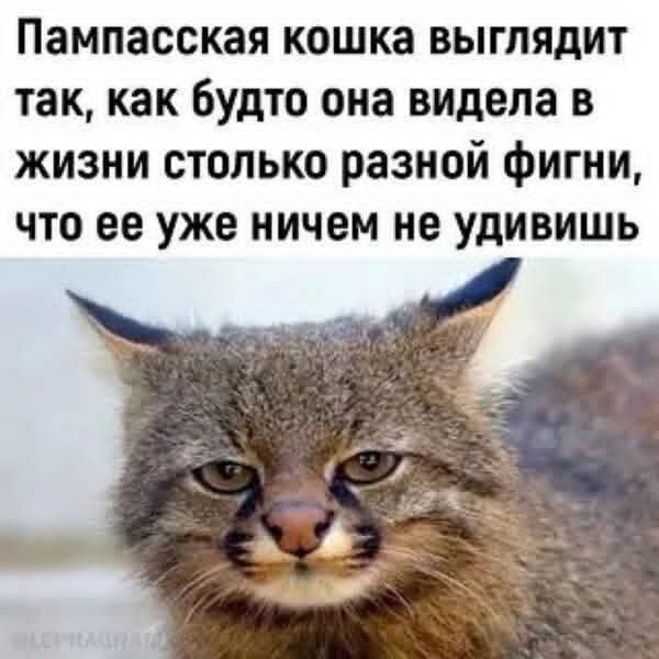 Маленькая пятница 19.11