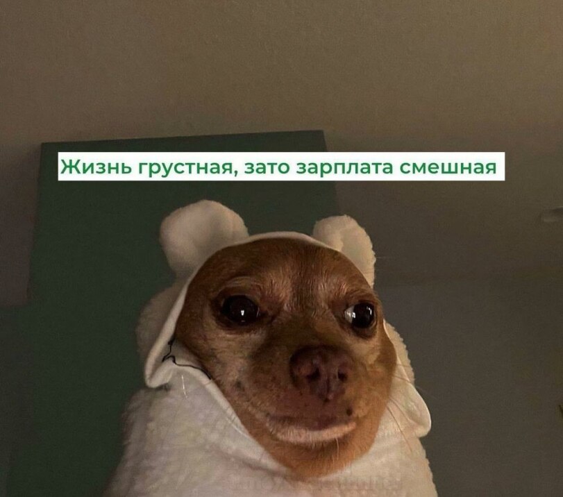 20583182.jpg