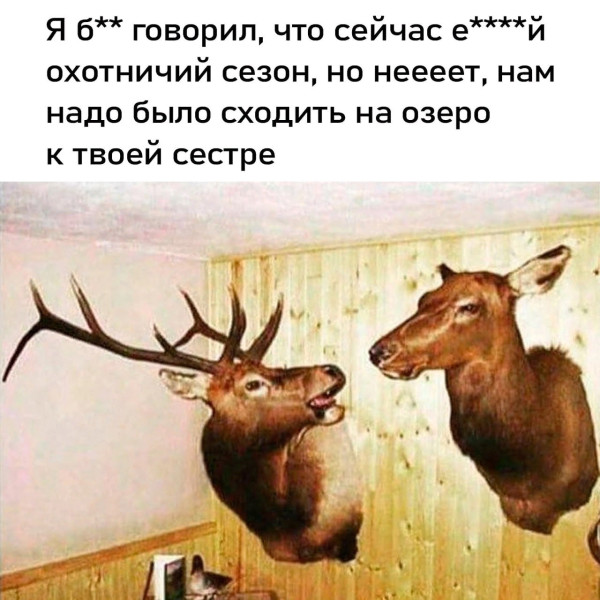 Картинки для деградации 110 (разной степени свежести)