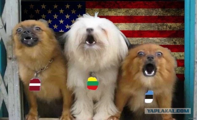 Дания введет санкции против США
