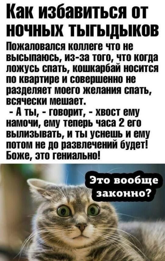 Отборные баяны 10-летней выдержки - ONLY US vol.2