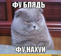 С актуальным советом к 8 Марта влетает Виталий Милонов