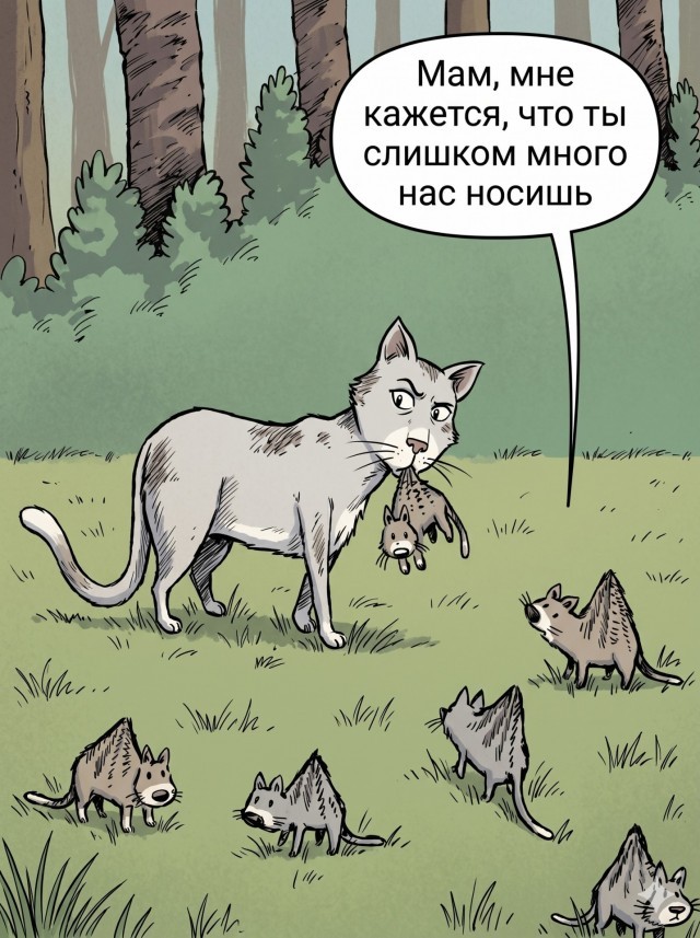 Картинки для деградации 195 (разной степени свежести)