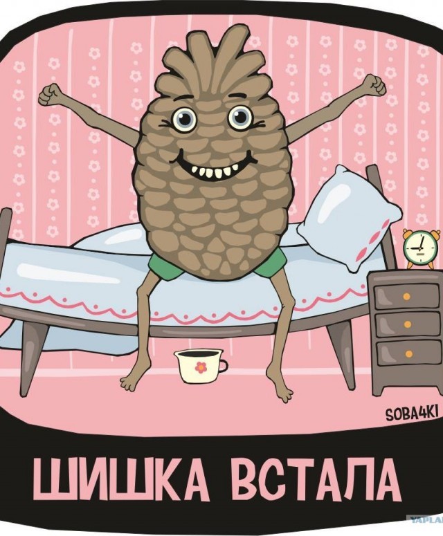 Как использовать шишку не привлекая внимание санитаров.
