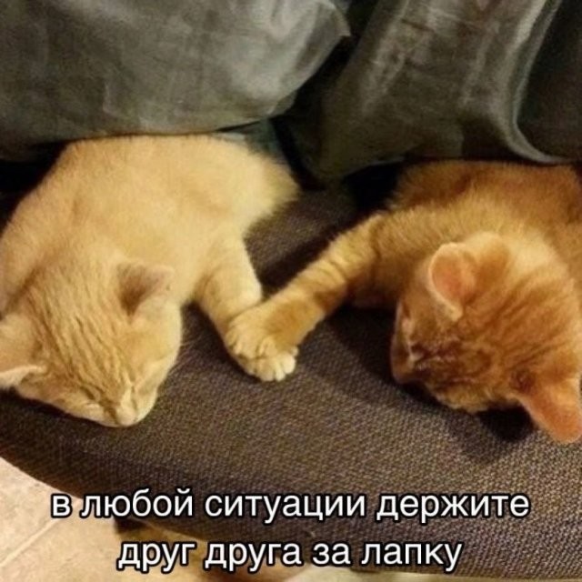 Так себе картинки 11.07.26