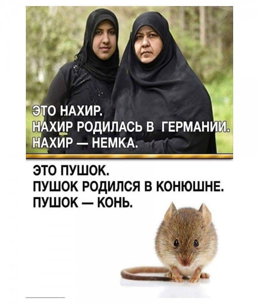 Так себе картинки 20.07.26