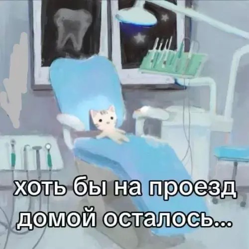 Картинки для деградации 245 (разной степени свежести)