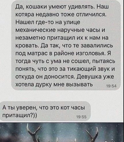 Картинки для деградации 248 (разной степени свежести)
