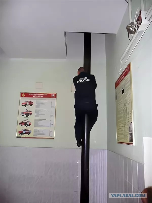 Дом для дачи из Китая