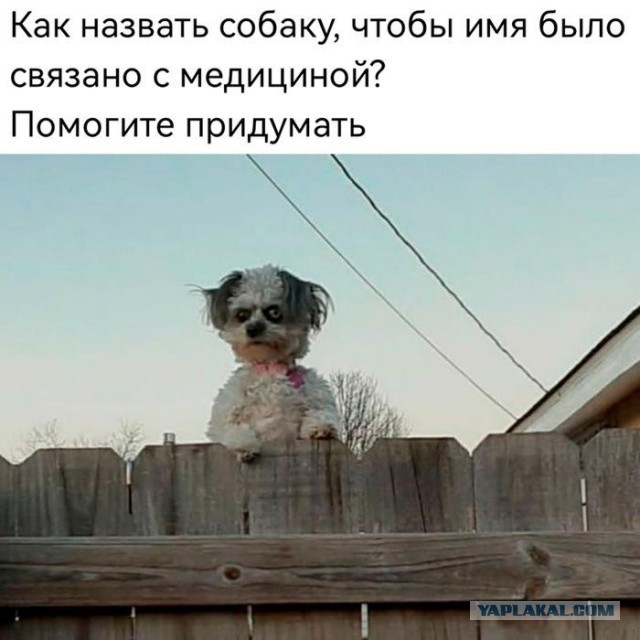 Картинки для деградации 307 (разной степени свежести)