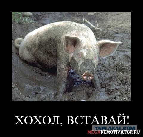 Глазами Киевлянина
