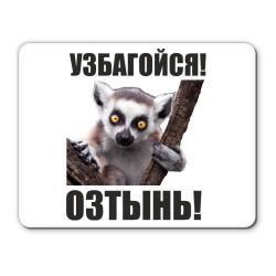 Попытка образумить владельцев собак