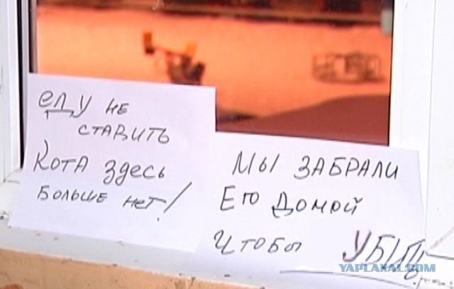 Сегодня, в подъезде моего дома...