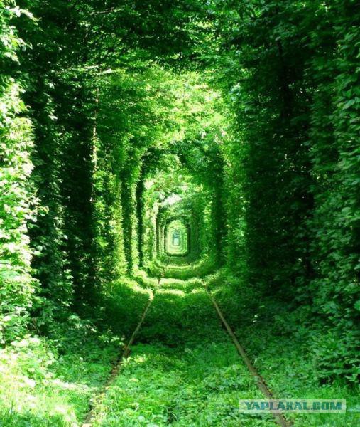Победители фотоконкурса