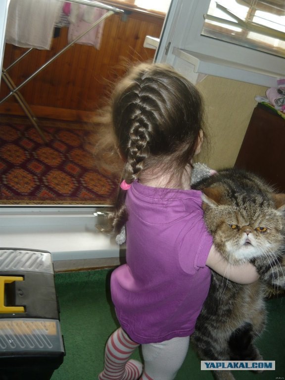 Картинки для хорошего настроения