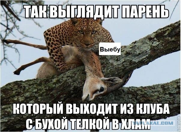 Большая грудь моей подруги (не спасет)