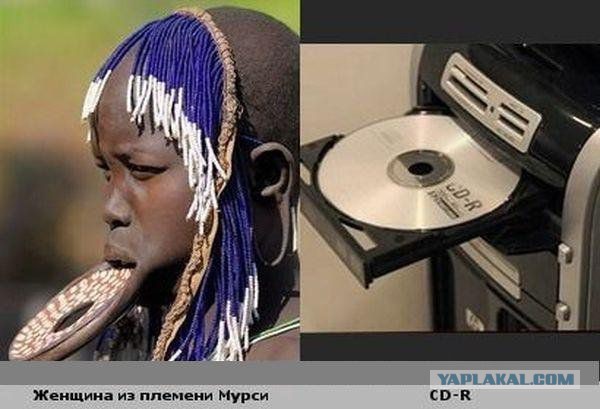 Они нашли себя