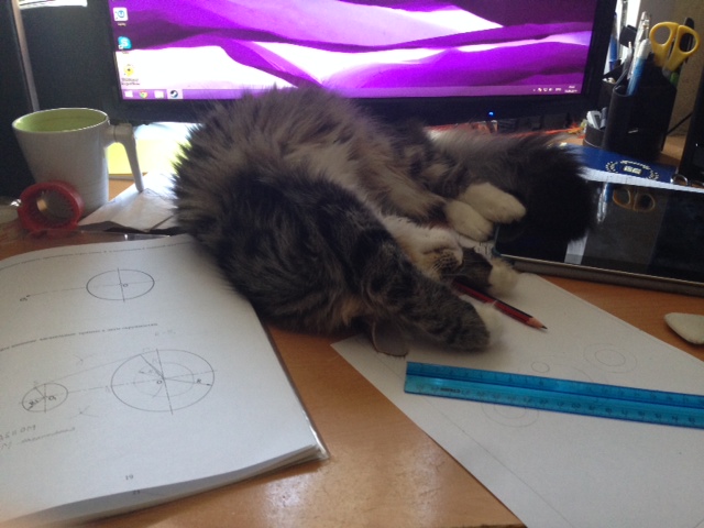 Котовторник 23.09.2014.