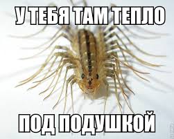 Караул!