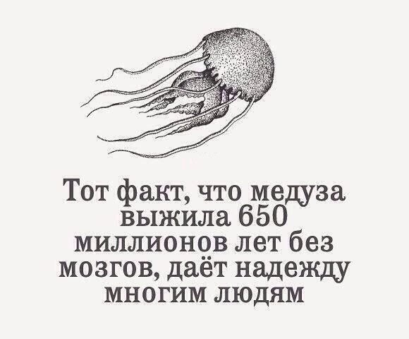 Комментарии из соцсетей, картинки