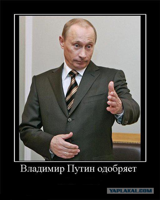 Боксер от бога