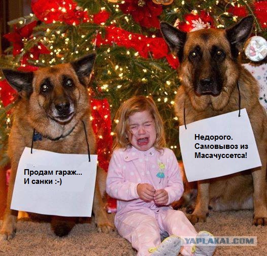 Пост вселенской безнадеги