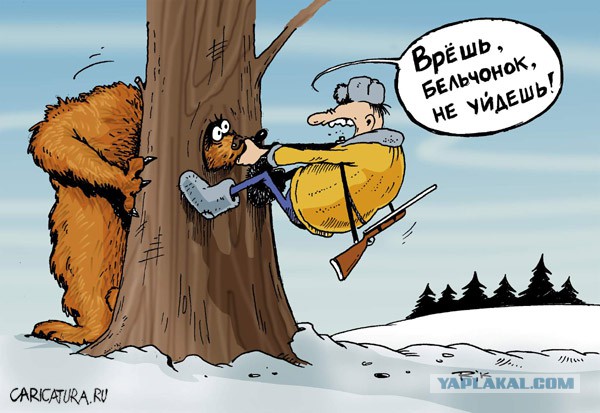 Неожиданно из-за дерева показалась чья-то морда