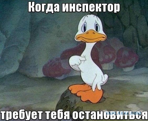 Прикольные картинки из сети