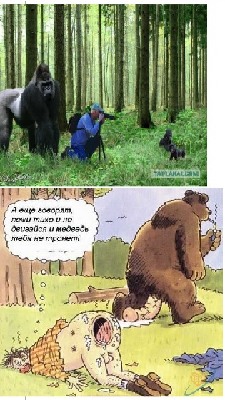 За секунду до