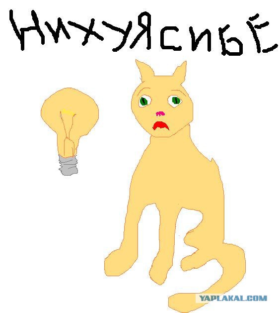 Кот - добытчик