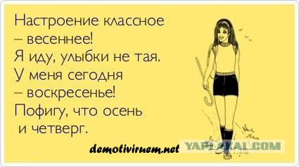 Когда кто-то плюсует твой заминусованый пост