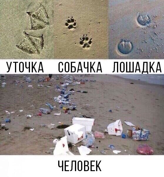 Веселые картинки