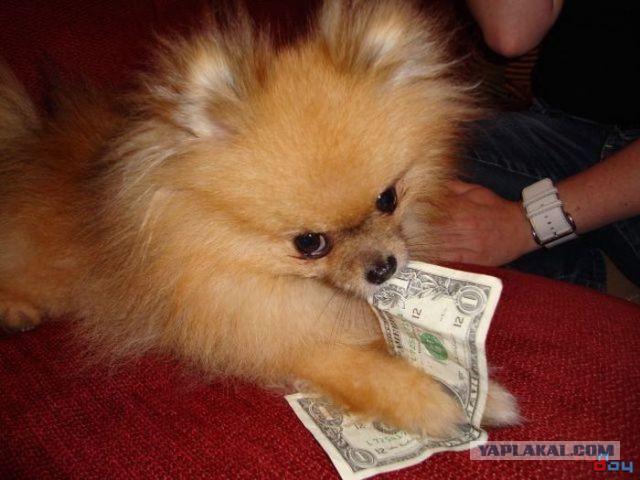 Картиночки из этих...ваших.....