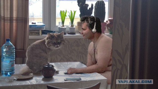Фотожаба: "Одинокий нудист"