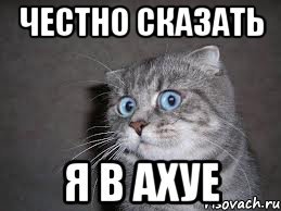 Секс-куклы для извращенцев