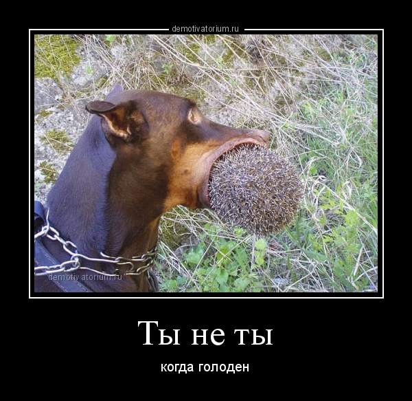 Подборка интересных и веселых картинок