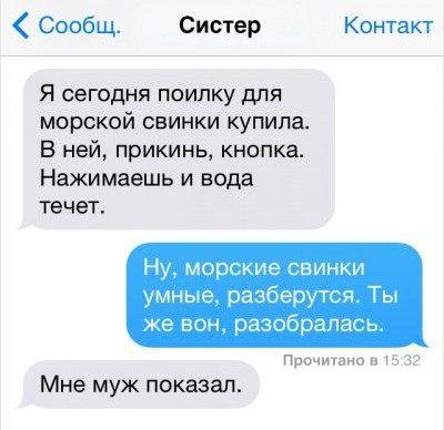 Смешные СМС и комменты