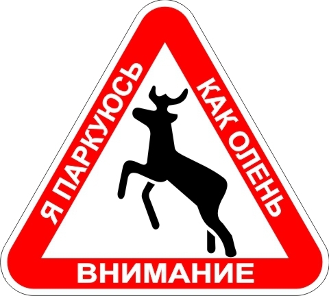 Я приехала в магазин....