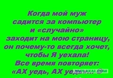 Подборка интересных и веселых картинок