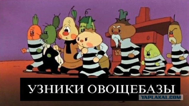 Подборка интересных и веселых картинок